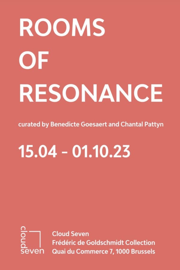 新闻|张云垚参展比利时The Frédéric de Goldschmidt 收藏群展“共鸣的房间”