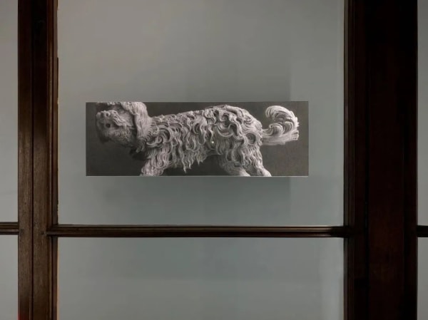 View of “the 16th Lyon Biennale of Contemporary Art: Manifesto of Fragility”, 2022. The Guimet Museum (Ancien musée d'histoire naturelle),...