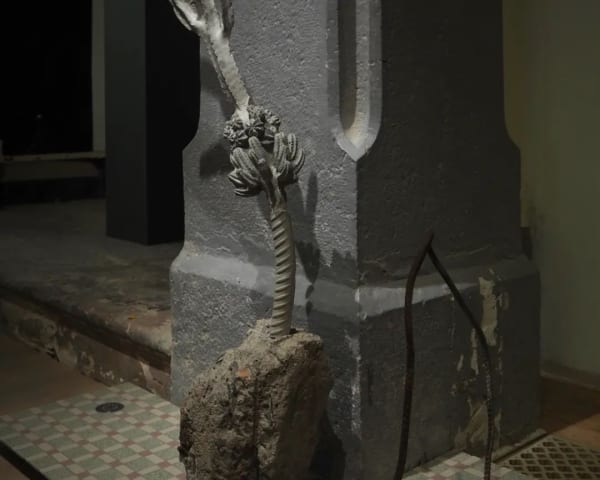 View of “the 16th Lyon Biennale of Contemporary Art: Manifesto of Fragility”, 2022. The Religious Art Museum of Fouviere, Lyon,...