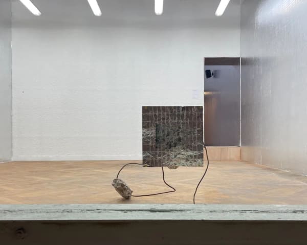 View of “the 16th Lyon Biennale of Contemporary Art: Manifesto of Fragility”, 2022. The Guimet Museum, Lyon, France “第 16...