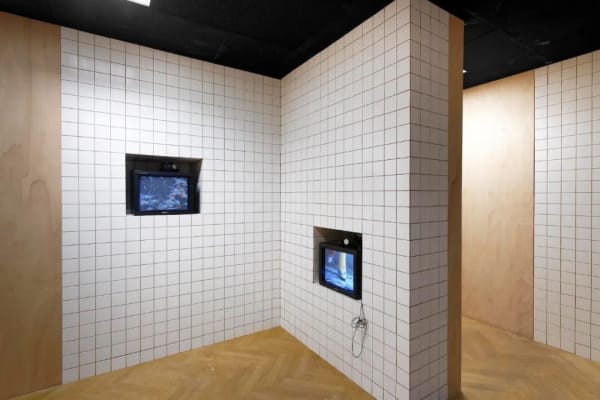 View of “the 16th Lyon Biennale of Contemporary Art: Manifesto of Fragility”, 2022. The Guimet Museum, Lyon, France “第 16...