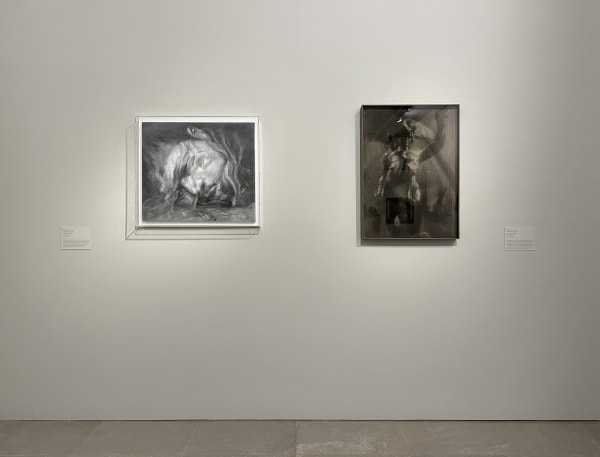 “美杜莎的凝视”展览现场, 2023, 图片致谢张云垚 Installation view of “In Medusa’s Gaze,” 2023. Photo courtesy of ZHANG Yunyao.