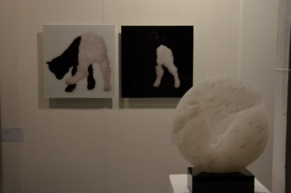 Dsc 1233 Fotor 20230922142935