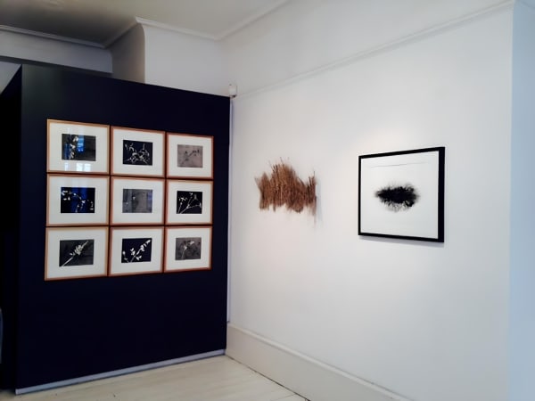 Image2 3 Fotor 20230901165621