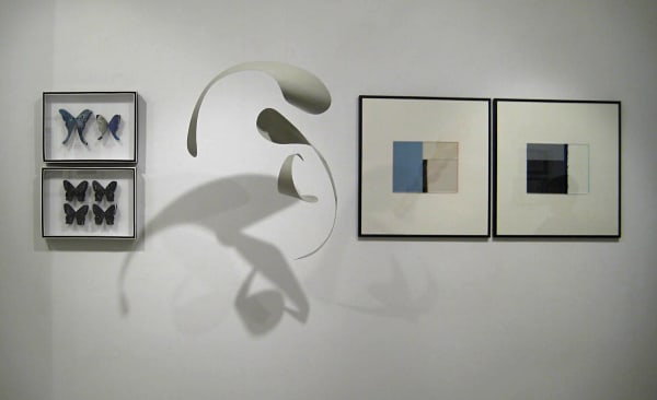 Img 0374 Fotor 20230920121826