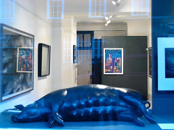 Img 9700 Fotor 20230901163536 Fotor 20230919154731