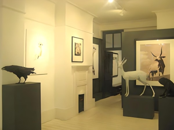 Installation5 Fotor 2023120712572