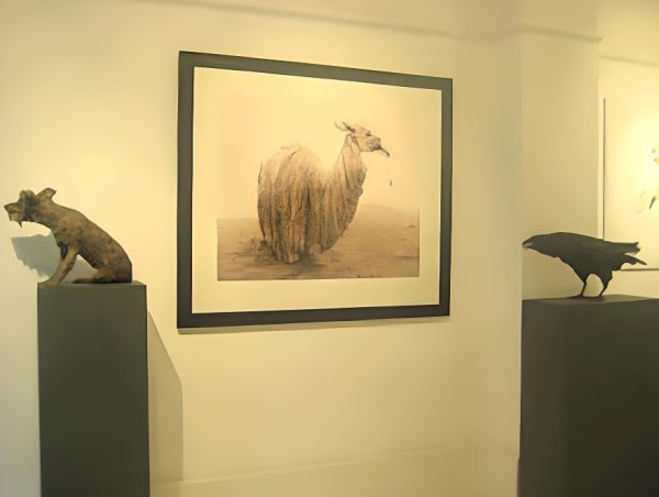 Installation6 Fotor 2023120713023