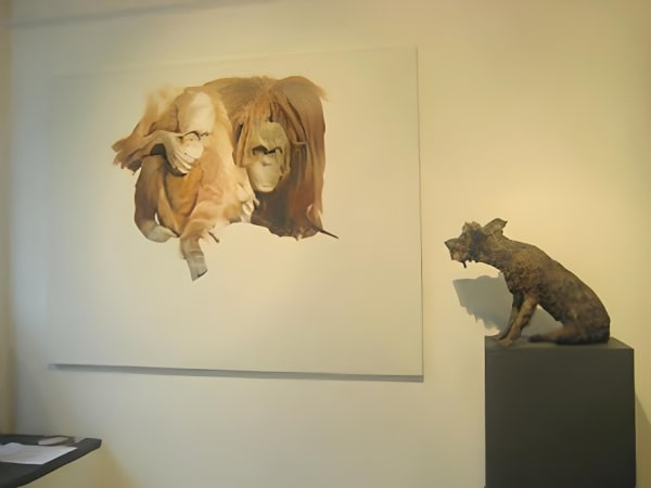 Installation8 Fotor 20231207133613