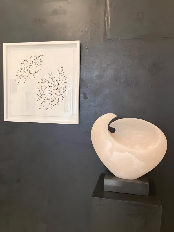 Photo 2022 02 04 15 10 226 Fotor 20231010152740