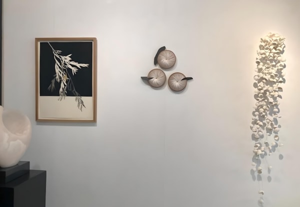 Photo 2022 02 04 15 10 227 Fotor 20231010152836