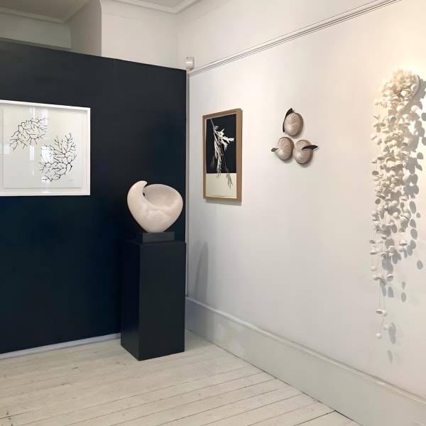 Photo 2022 02 04 15 10 2310 Fotor 20231010153126