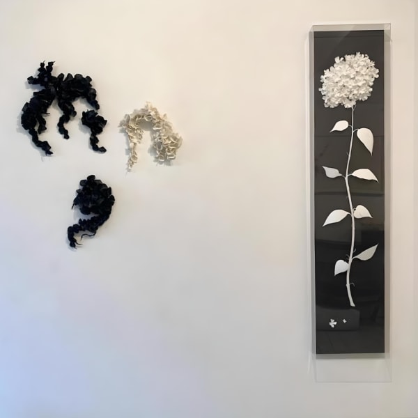 Photo 2022 02 04 15 10 2312 Fotor 20231010153212