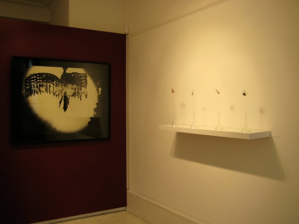 Img 0954 Fotor 2023091514254