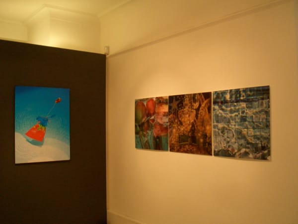 Cimg1204 Fotor 20230914153253