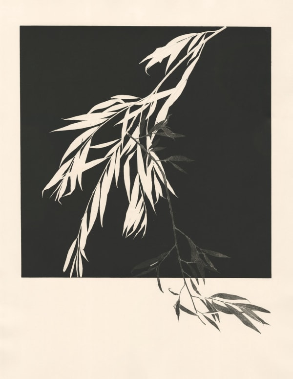 Patricia Swannell | Legacy