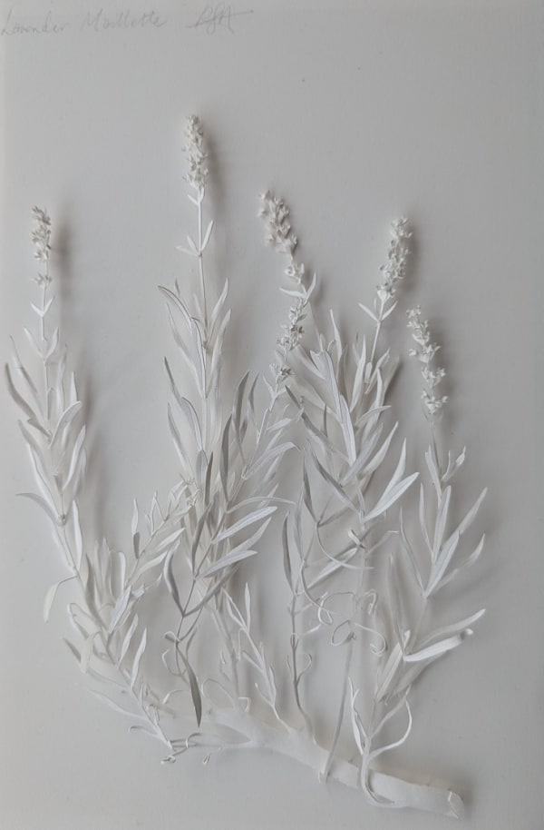 Jaggedart Rachel Shaw Ashton Lavender Millette