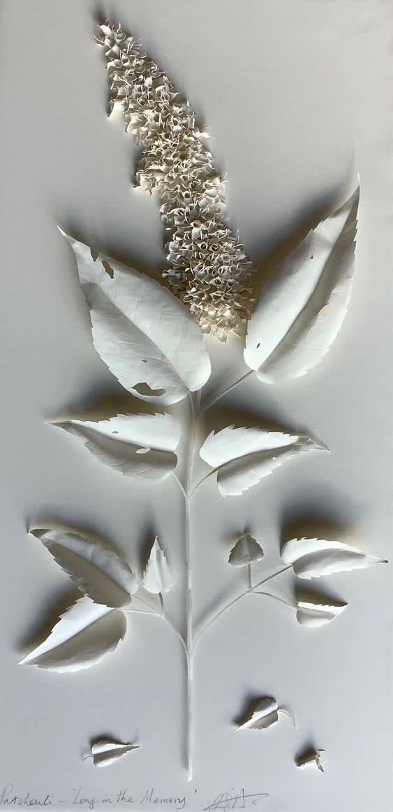 Jaggedart Rachel Shaw Ashton Patchouli Lay In The Memory