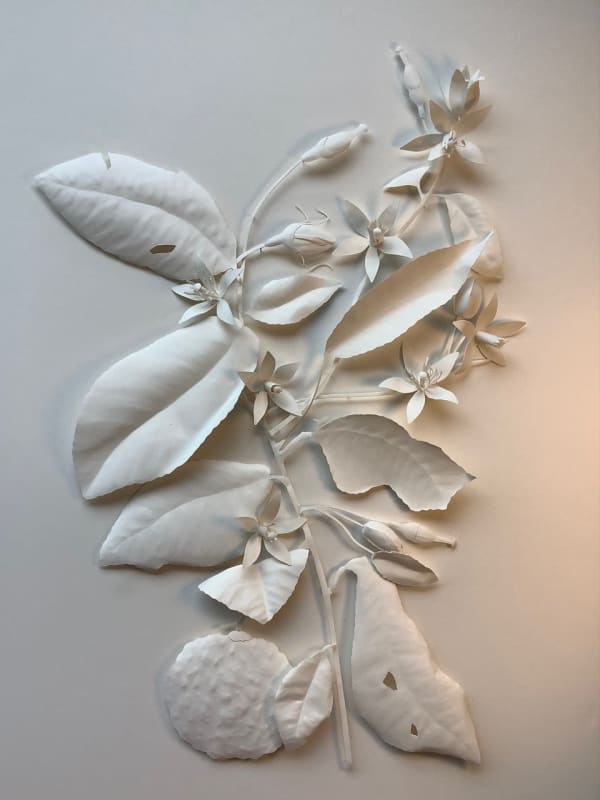 Jaggedart Rachel Shaw Ashton That Song You Sing Citrus Bergamot