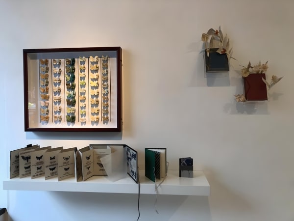 Img9439 Fotor 20231011153836