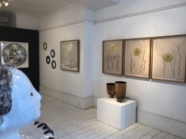 Smallimg7637 Fotor 20231110165046