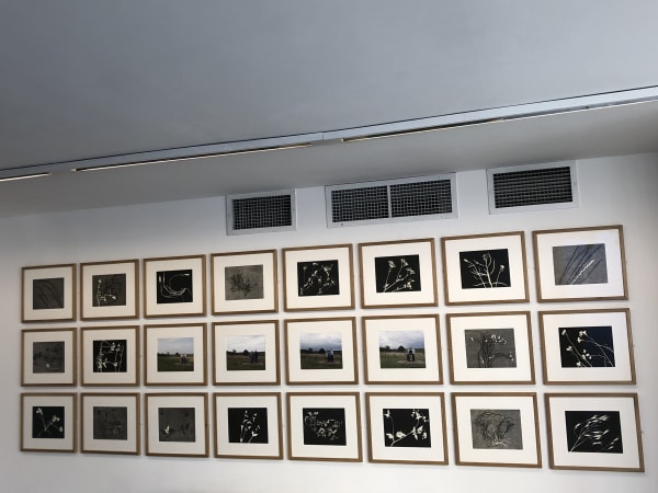 Photo26 04 2018113550