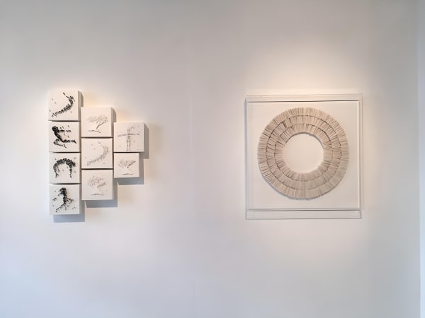 Img3823 Fotor 2023102413328