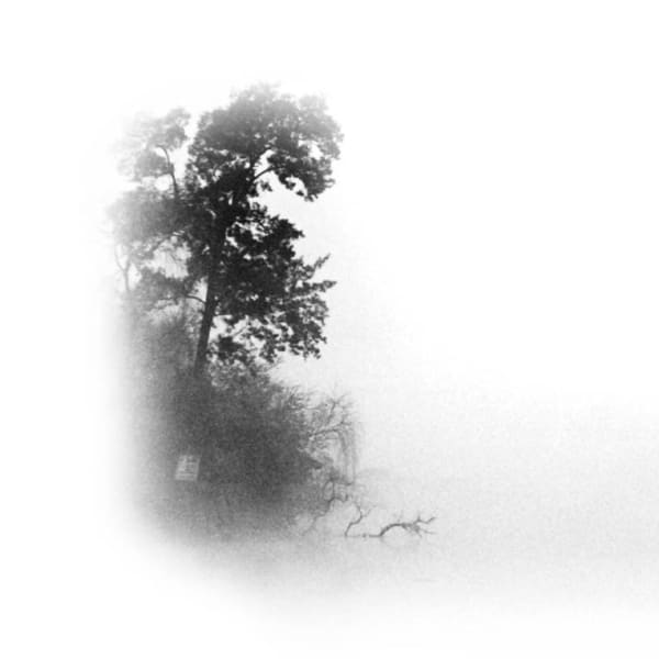 Brenda Hoffman - La Promenade de Rilke 1