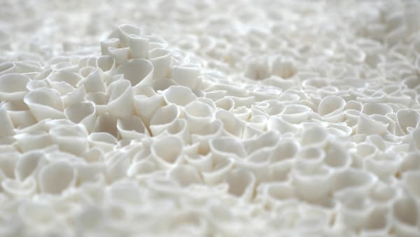 Valéria Nascimento - Black Coral