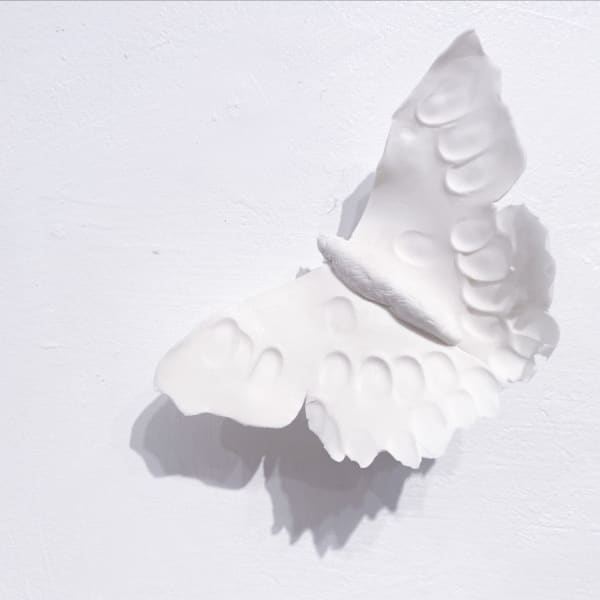 Naoko Tagai - In Search of Light