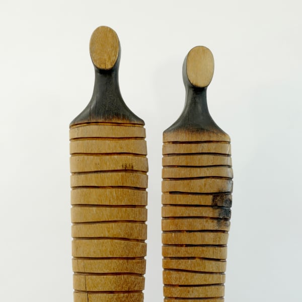 Roger Hardy - Anthropology Series