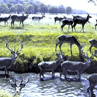 The sea of spring rising and falling, all the day long