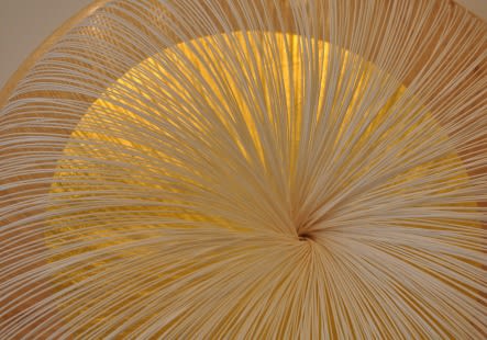 'Fibre optics' article in FT