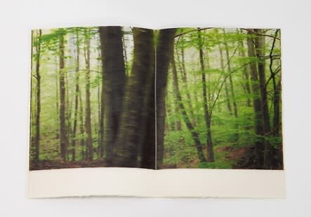 Unsent Letter by Danielle Creenaune, has been awarded the Intaglio Printmaker Prize 2012