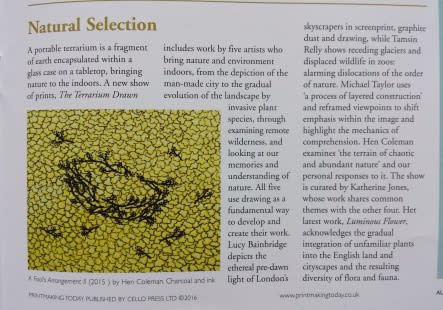 The Terrarium Drawn featured in Printmaking Today