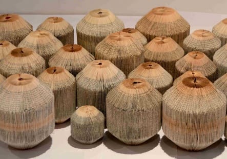 Monica Fierro awarded a special mention by the Jury in Salon de Artes Visuales, Junin, Argentina