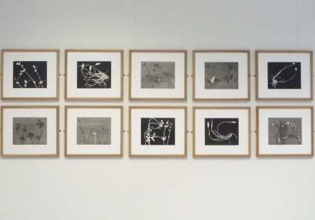 Legacy - Patricia Swannell