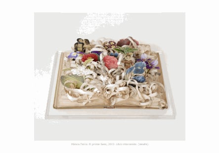 Monica Fierro's work in 91° Salón de Mayo, Museo Rosa Galisteo de Rodriguez, Argentina