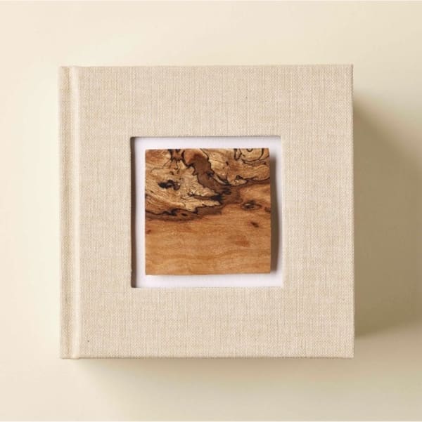 Special Edition | Max Bainbridge