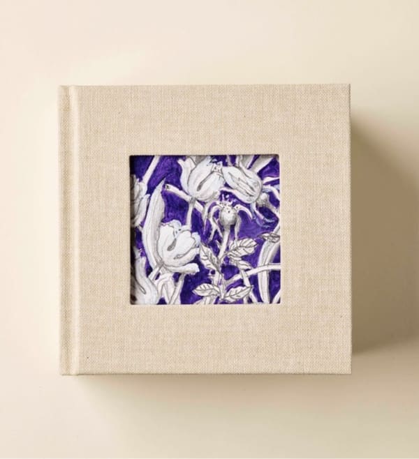 Special Edition | Ricardo Cinalli