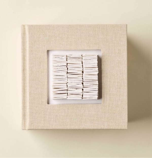 Special Edition | Lucas Ferreira