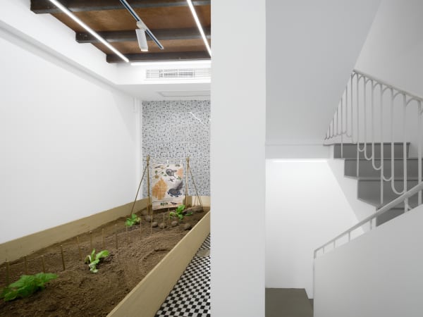 C4A37Dcb47Cdb9Aa358E91B0A2E65559