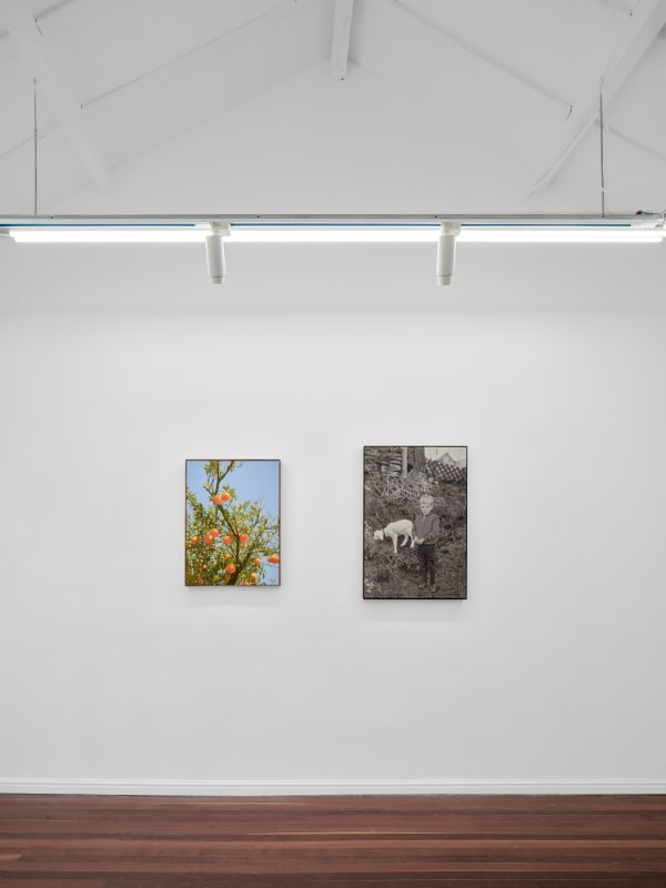 Wechatimg6Aff277D47A94434B3Df90A5571B551A