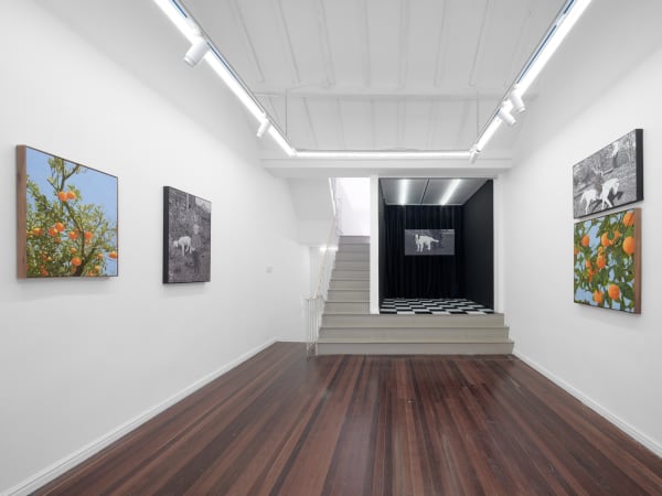 Wechatimg8E22A6792Be18B2Dcff900C2E1279C62