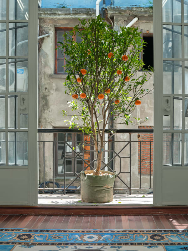 Wechatimg90D175A107705F6D117C4B9Ffface7B1