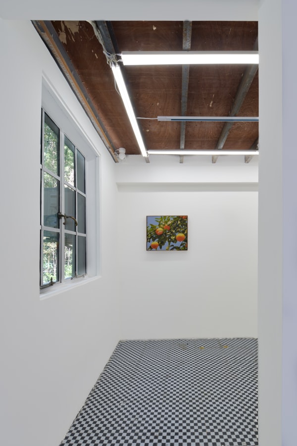 Wechatimgad8B368541D55Def38A470Fc7F3E2242