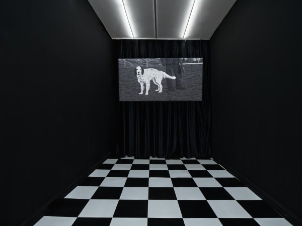 For the Lives We Couldn’t Hold On To Artist: Mustafa Boğa Curator: Otto Neu