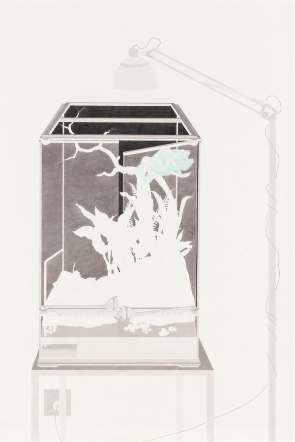 Exhibition Review | Xiaochi Dong: Modern Nature