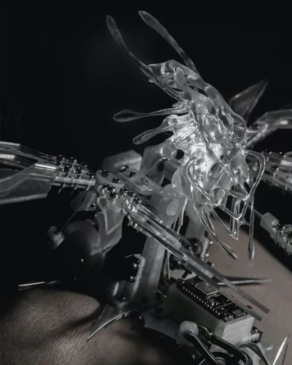 Nan Ke Artists | 00 Zhang: SuperELLE Exclusive Interview