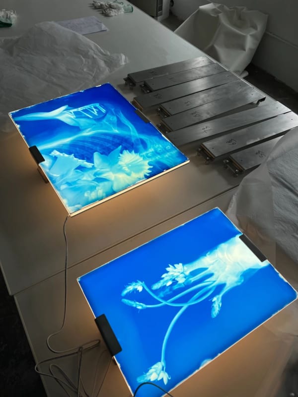 Weiyi Hu | The Rite of Spring